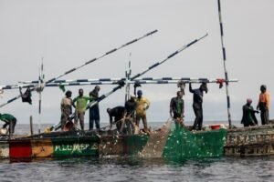 Pêche illicite et illégaleL’urgence de passer à l’application