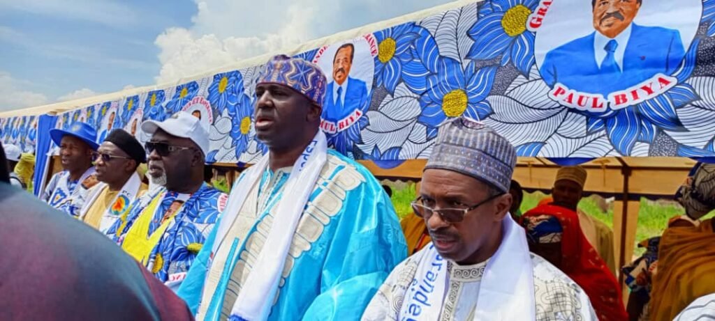 Des millitants du RDPC entre de battre campagne